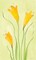 Buttercups Poster Print by Stephanie Marrott - Item # VARPDXSM15614